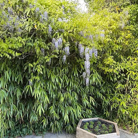 Apartment Kapitänshaus 4 *