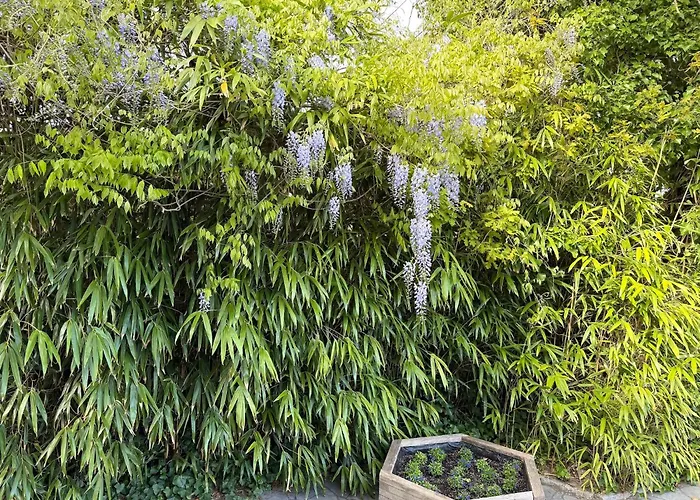 Appartement Kapitaenshaus 4 *